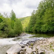 Lâchers de truites - Rivière Aveyron à Najac