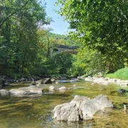 Lâchers de truites - Rivière Aveyron au Pont de Vézis proche de Villefranche-de-Rouergue