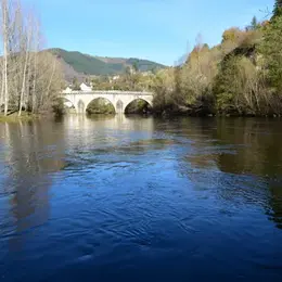 Lâchers de truites sur le Lot à Entraygues-sur-Truyère