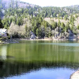 Top 5 des plans d'eau pour profiter de la fraîcheur