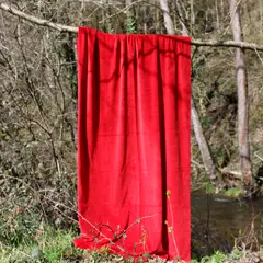 Laissez verdure