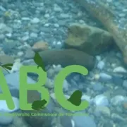 Lamproie le poisson vampire