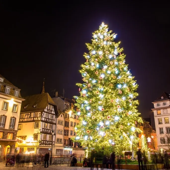 Le sapin et les illuminations de Strasbourg font la magie de Noël