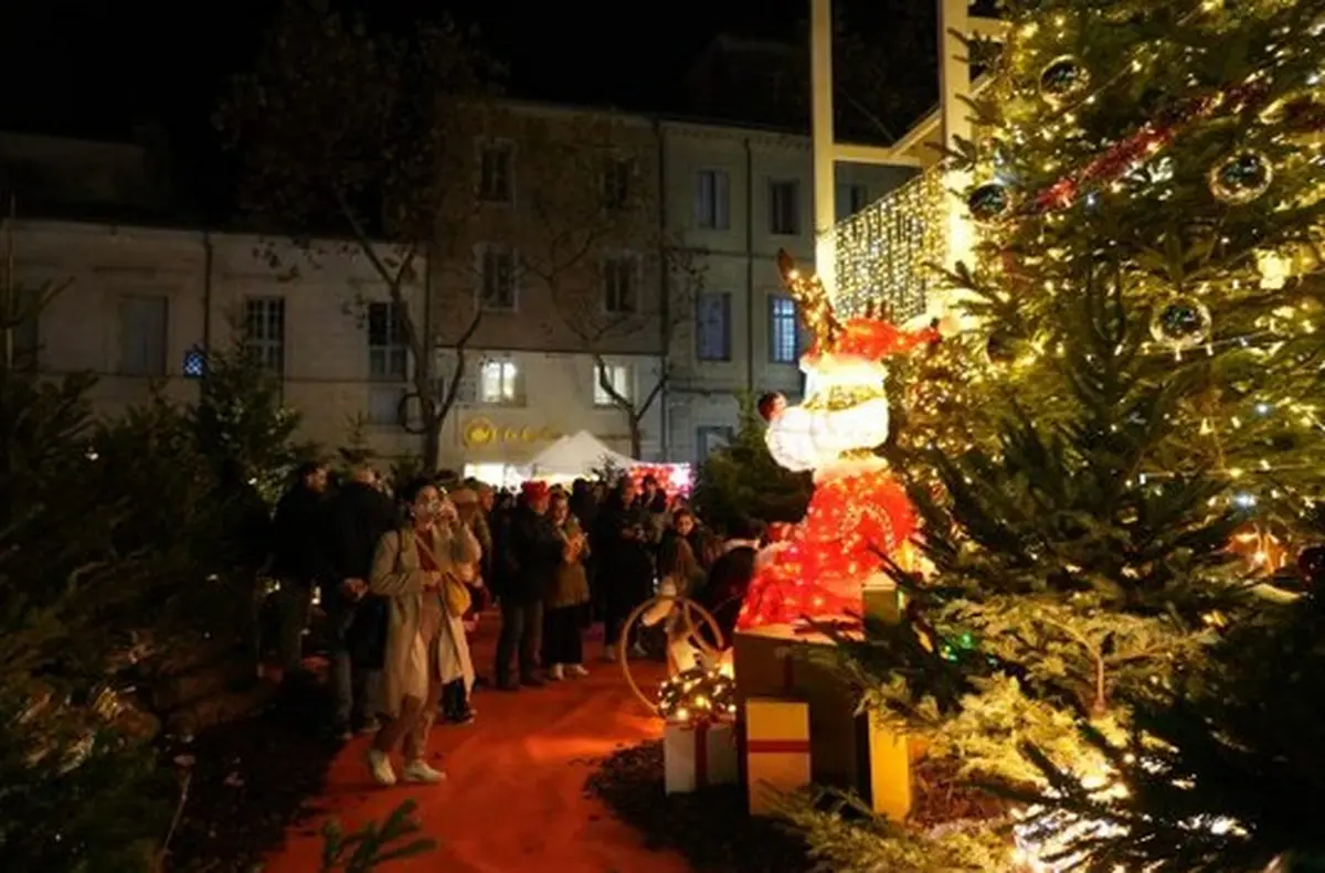 Lancement Des Illuminations De Noël – Top Lumières