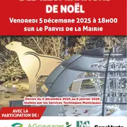 Lancement des illuminations et décors de Noël