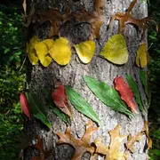 Land Art Des Tout Petits