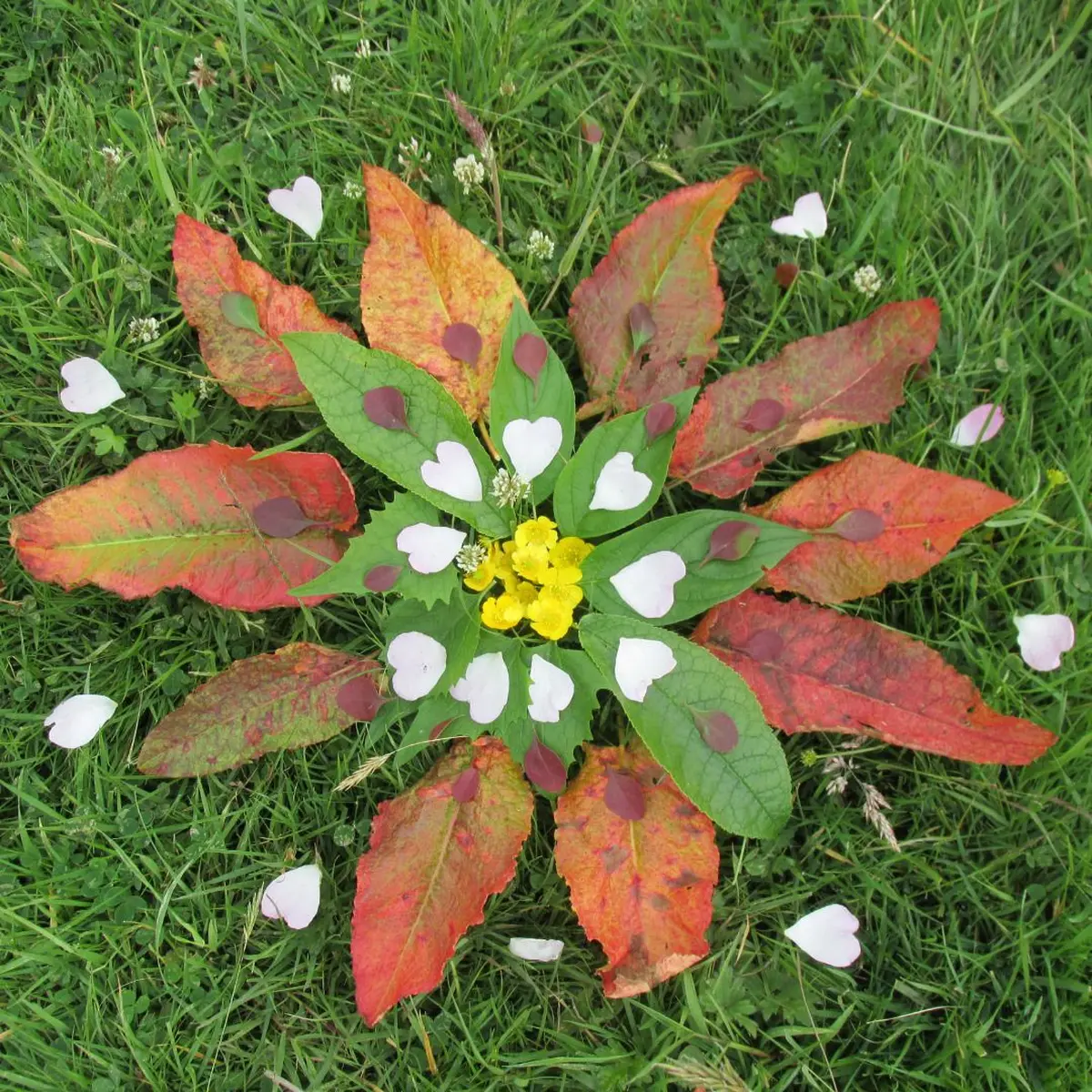 Le land art utilise les éléments de la nature pour dessiner