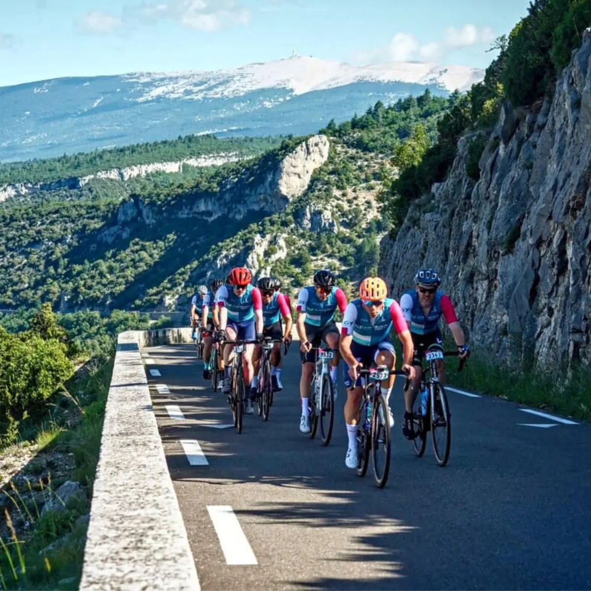 Colnago GF Mont Ventoux 2026 : cyclosportive