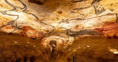 Lascaux IV : Visite libre + Audioguide