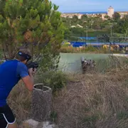 Laser Game itinérant outdoor à Nice (06)