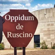 Latinité En Héritage - Photographies