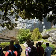 Laugerie-Basse : Billet d'entrée