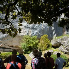 Laugerie-Basse : Billet d'entrée