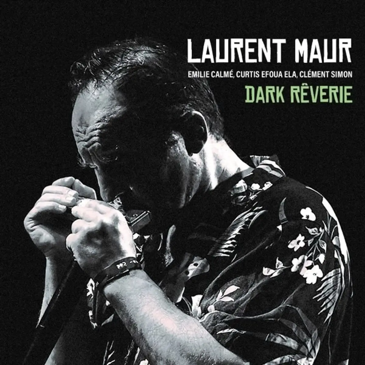 Laurent Maur Soundscape Quartet : Dark Rêverie