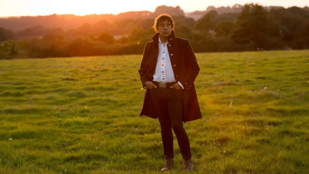 Laurent Voulzy En Concert