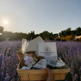 Lavender Night : Pique-nique gourmet chez Terre Ugo