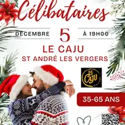 Le Bal de Noël des Célibataires – Chic &amp; Élégant