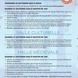 Le bal des chauves-souris