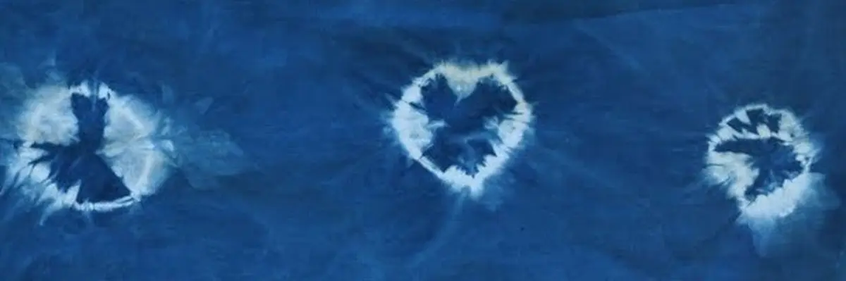 Le Bleu Végétal (pastel, Indigo Et Autres)