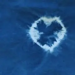 Le Bleu Végétal (pastel, Indigo Et Autres)