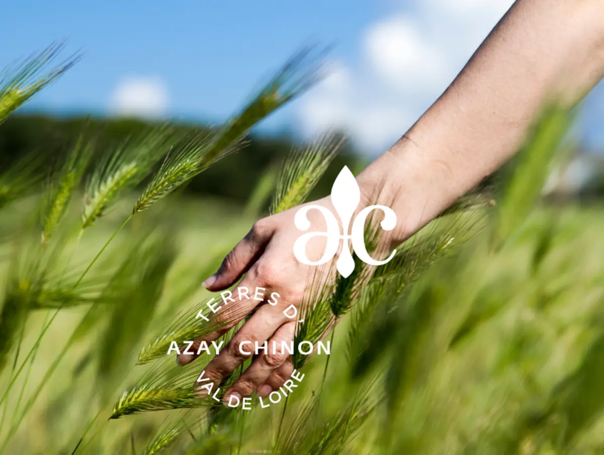 Le Bocage : Balade gourmande entre nature et agriculture