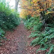 Le bocage en baskets