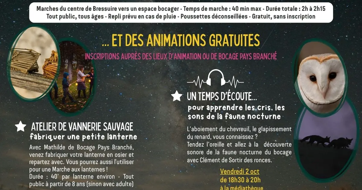 Le Bocage Etoilé - Marche nocturne aux lanternes