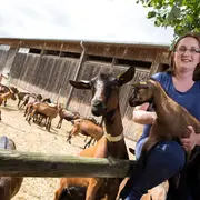 Le Bois des Louvières