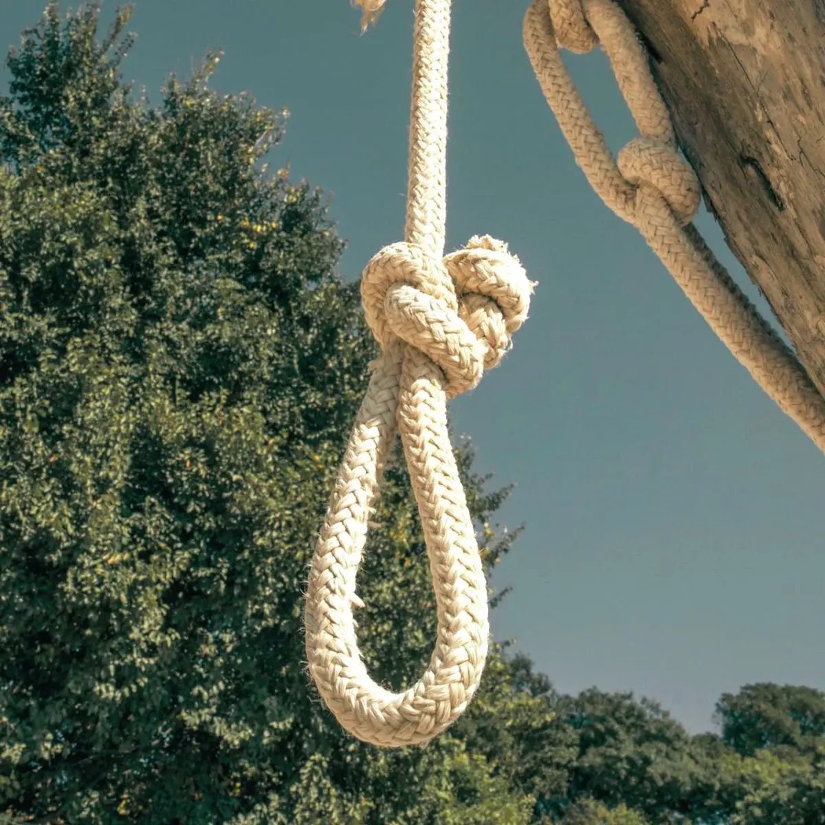 le bois hanté de Vieux-Ferrette