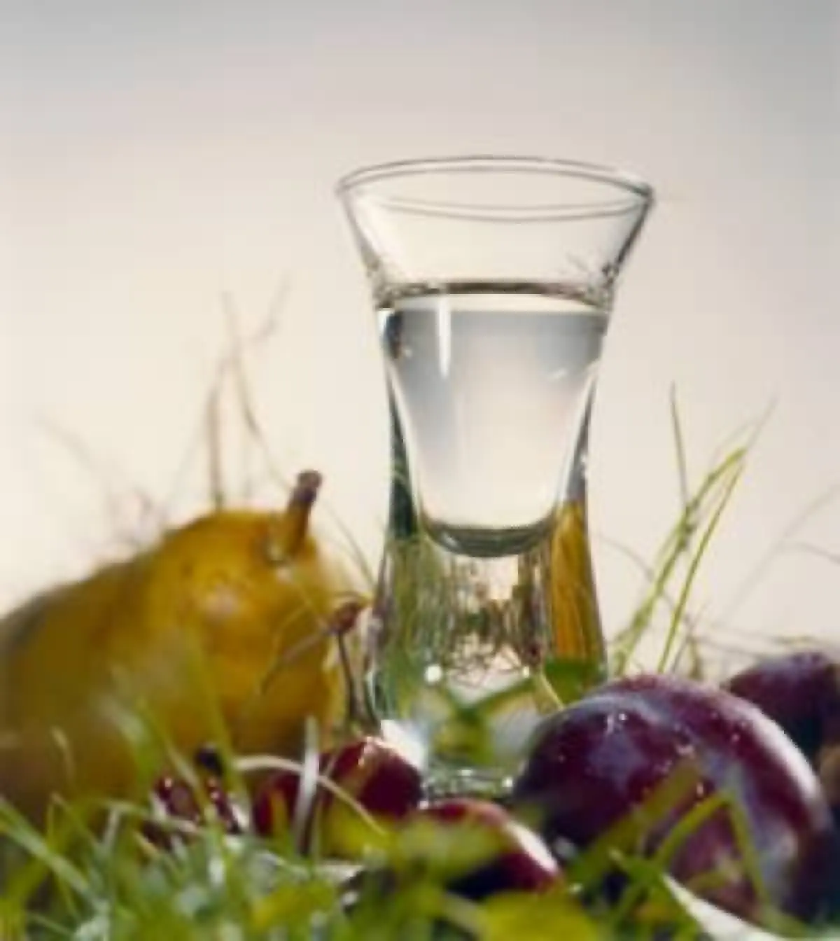 Le bon verre de Schnaps qui réchauffe a toujours autant de succès !