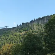 5 sommets vosgiens à (re)découvrir cet été !