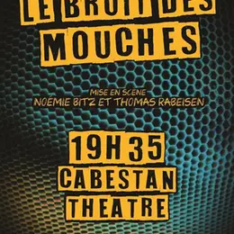 Le bruit des mouches