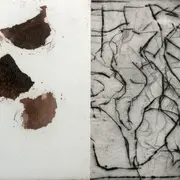 Le cabinet des curiosités d'Either