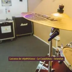 Le Caméléon