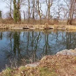 Longer le canal à vélo entre Colmar et Artzenheim