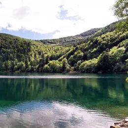 Info ou intox ? 5 légendes sur les lacs alsaciens ! 
