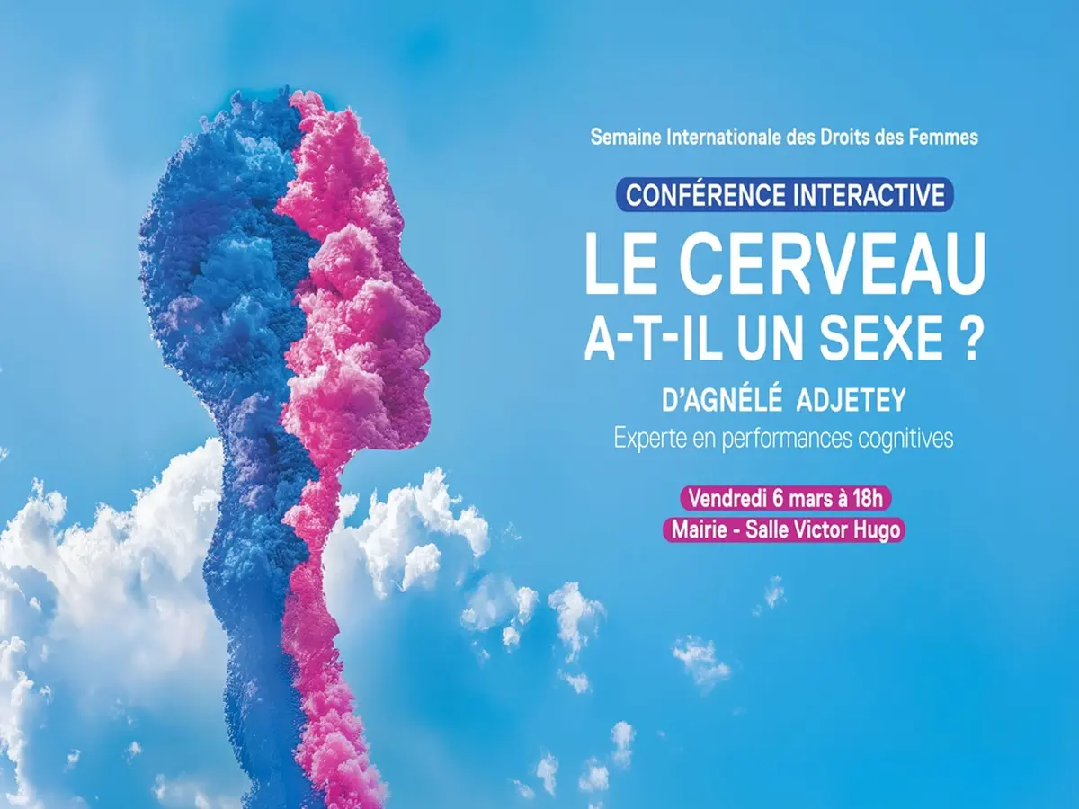 Le Cerveau A T'Il Un Sexe ?