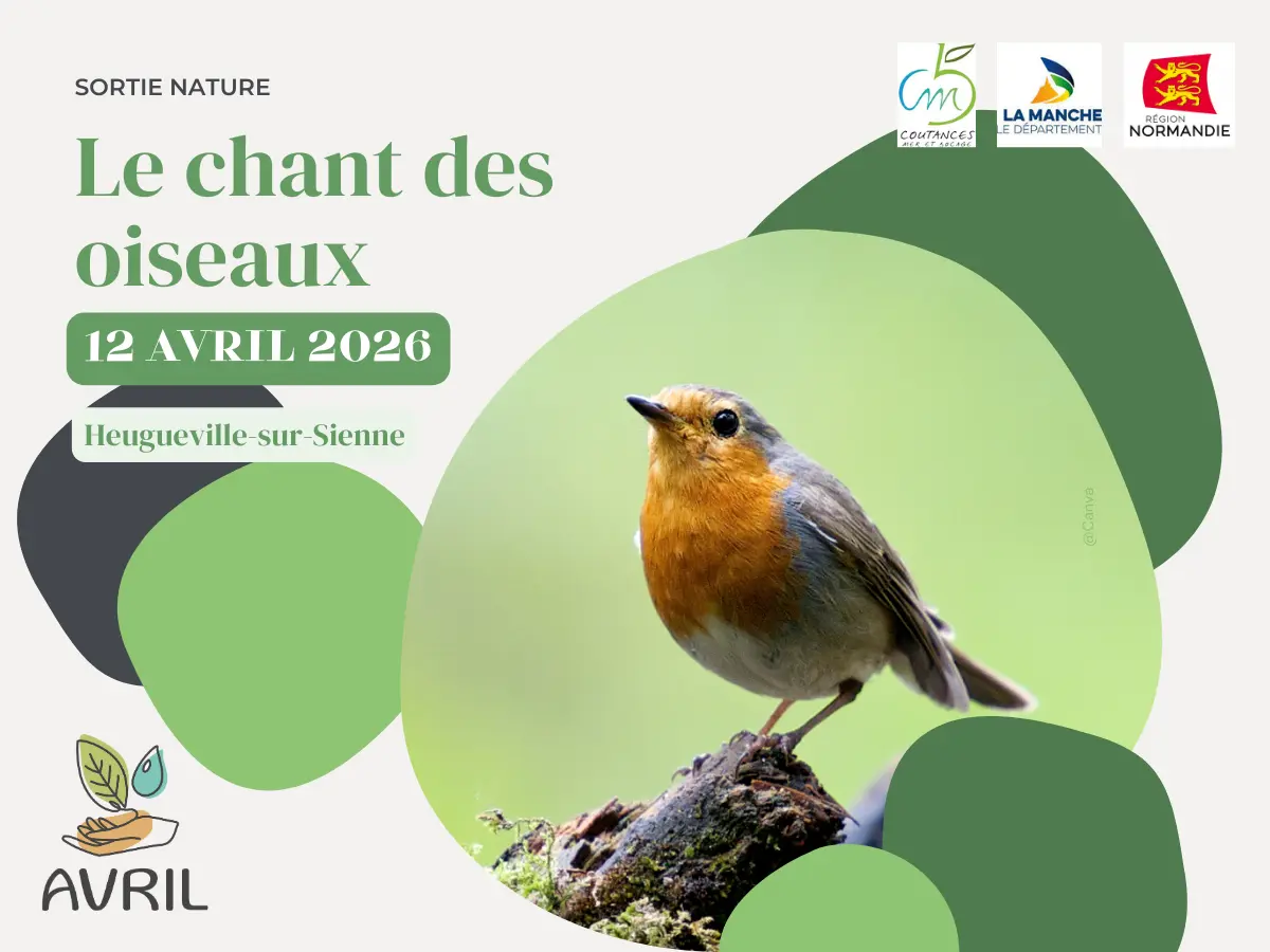Le chant des oiseaux