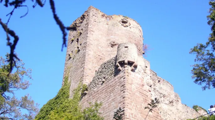 Le château de Kintzheim dresse fièrement ses tours en aval du Haut-Koenigsbourg
