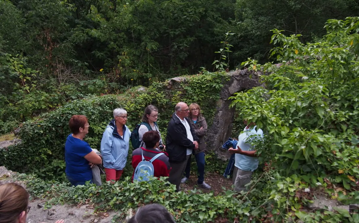 Le château de la Robertière : un géant oublié de la forêt