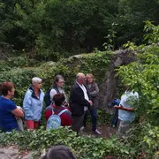 Le château de la Robertière : un géant oublié de la forêt
