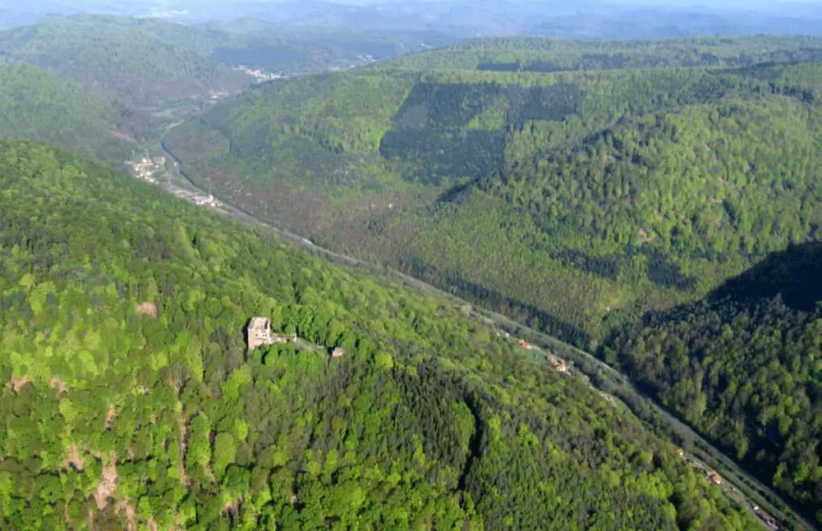 Le château de la Wasenbourg garde la vallée en amont de Niederbronn-les-Bains