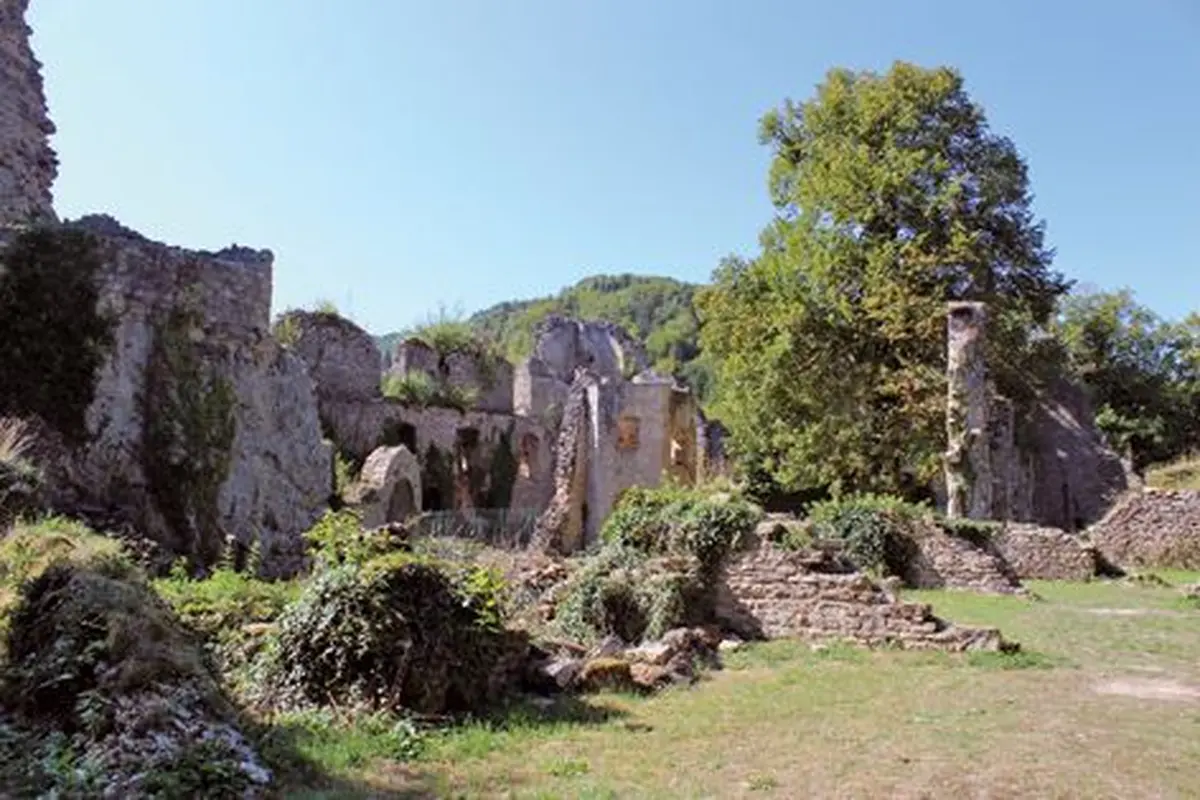 Le château de Morimont