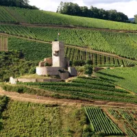 Vue sur le château du Wineck entouré des vignobles &copy; OT Kaysersberg