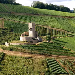 Château du Wineck (Katzenthal)