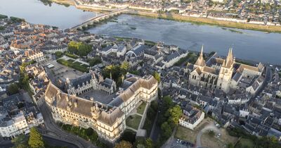 Le Ch&acirc;teau Royal de Blois : Billet d'entr&eacute;e