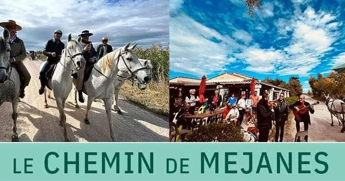Le chemin de Méjanes le long du Vaccarès