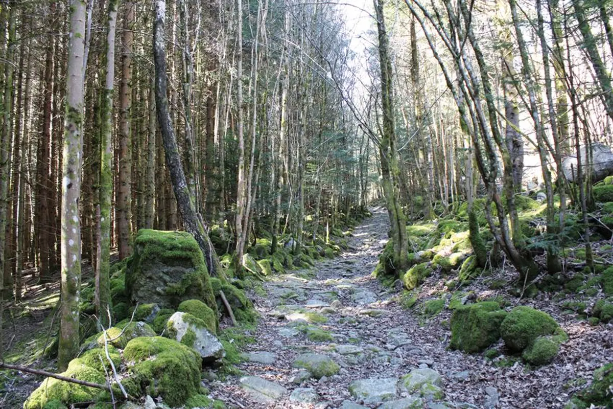 Le chemin de pierres