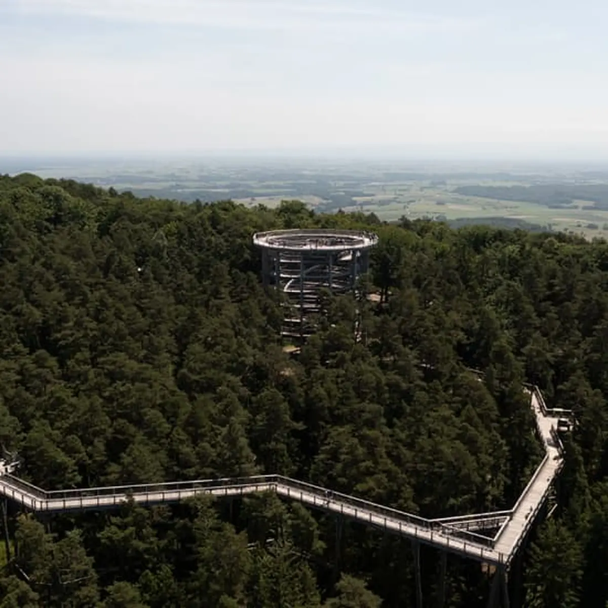 Le Chemin des Cimes Alsace