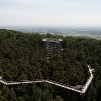 Le Chemin des Cimes Alsace DR